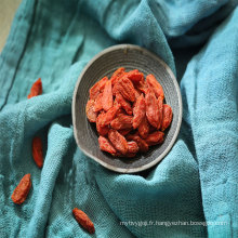 Collations saines prix des baies de goji séchées baies de goji sèches biologiques sucrées